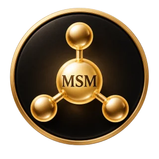 MSM