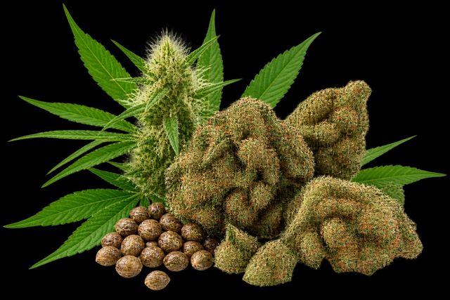 Raw Flower