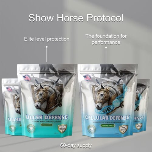 Show Horse Protocol