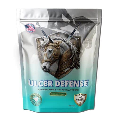 Ulcer Defense Maintenance Formula
