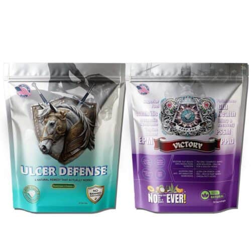 Maintenance Protocol