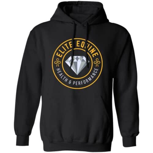 EEHP Women's Ulcer Defense Hoodie