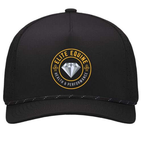 EEHP Perforated Snapback Cap