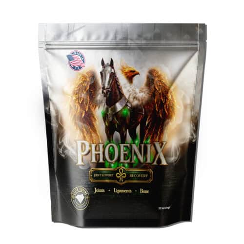 Phoenix front